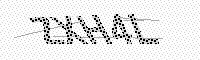 captchaImage