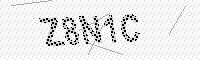 captchaImage