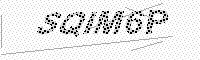 captchaImage