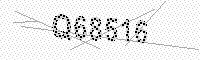 captchaImage