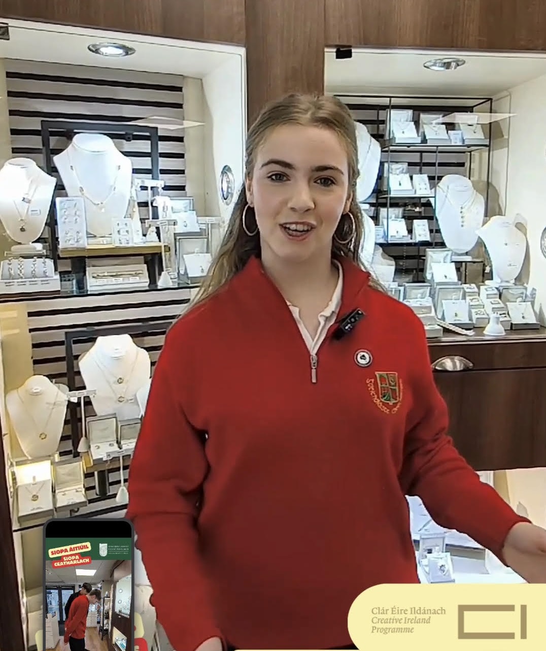 Gaelcholaiste Students Creative Ireland