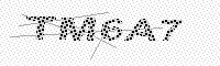 captchaImage