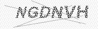 captchaImage