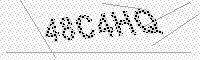captchaImage