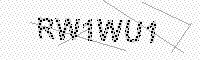 captchaImage
