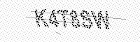 captchaImage