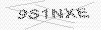 captchaImage