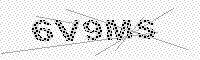 captchaImage