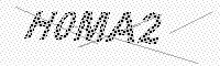 captchaImage