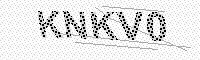 captchaImage
