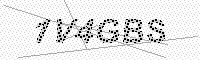captchaImage