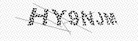 captchaImage