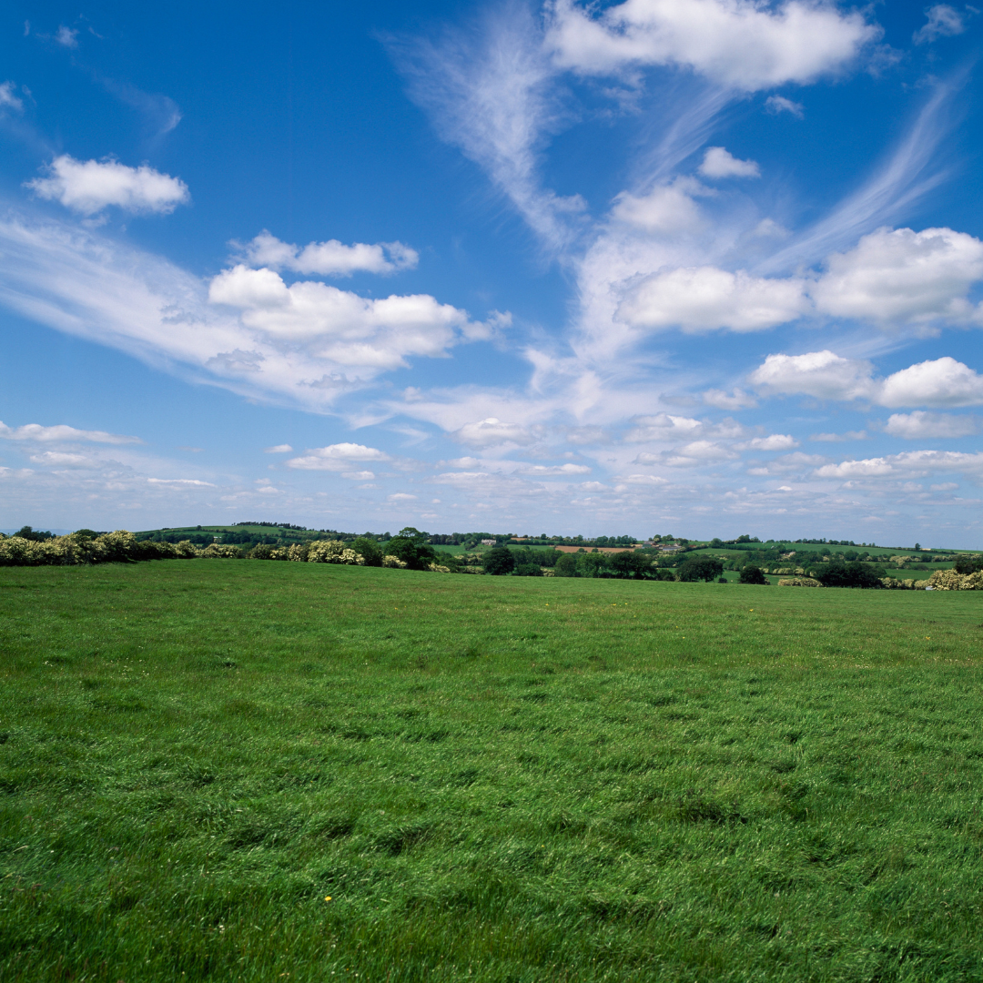 land