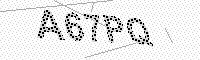captchaImage