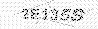 captchaImage