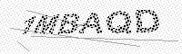 captchaImage