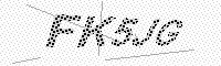 captchaImage