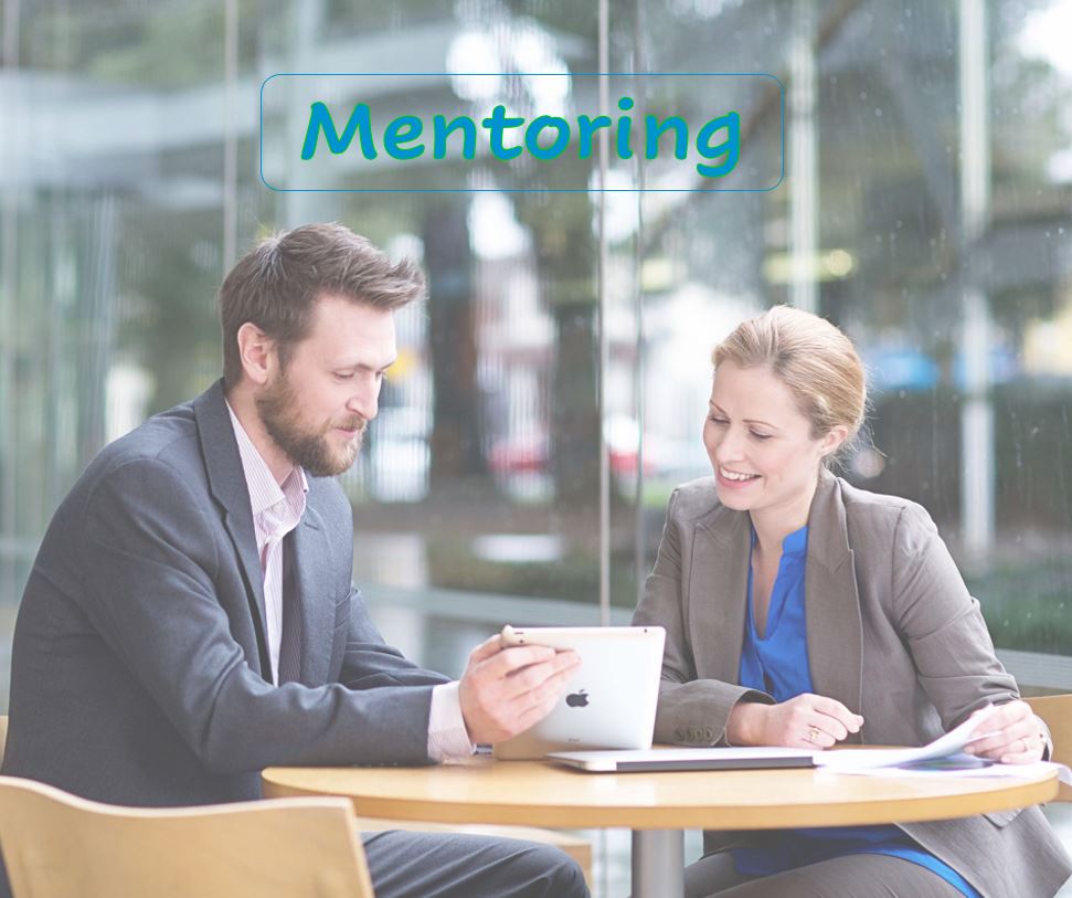 Need Mentoring?