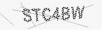 captchaImage