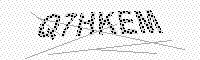 captchaImage