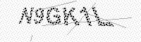 captchaImage