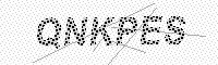 captchaImage