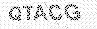 captchaImage