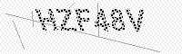 captchaImage