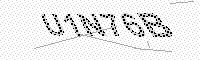captchaImage