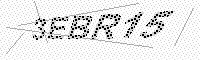 captchaImage