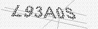captchaImage