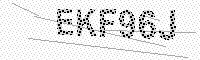 captchaImage