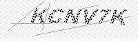 captchaImage
