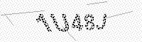 captchaImage