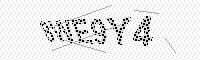 captchaImage