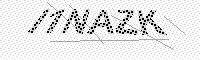 captchaImage