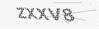 captchaImage