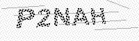captchaImage