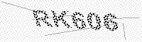 captchaImage