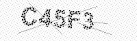 captchaImage