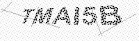captchaImage