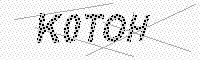 captchaImage
