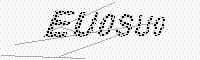 captchaImage