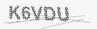 captchaImage
