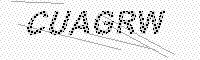 captchaImage