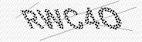captchaImage
