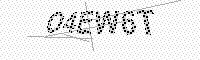 captchaImage