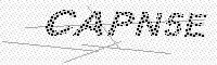 captchaImage