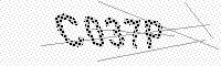 captchaImage