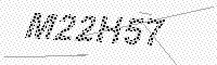 captchaImage